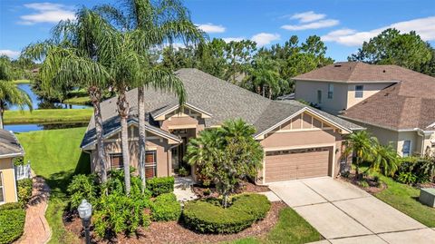 3254 GRASSGLEN PLACE WESLEY CHAPEL FL 33544
