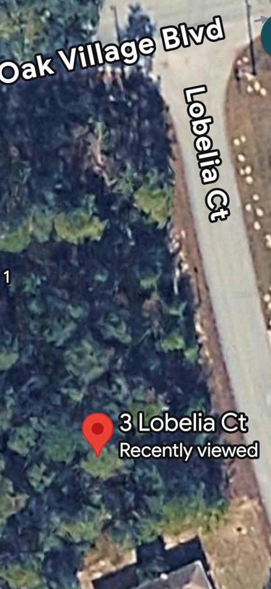 3 LOBELIA COURT
