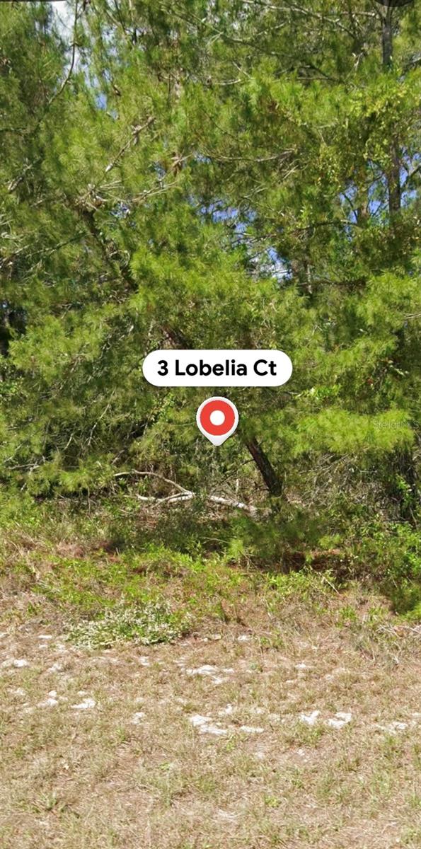 3 LOBELIA COURT