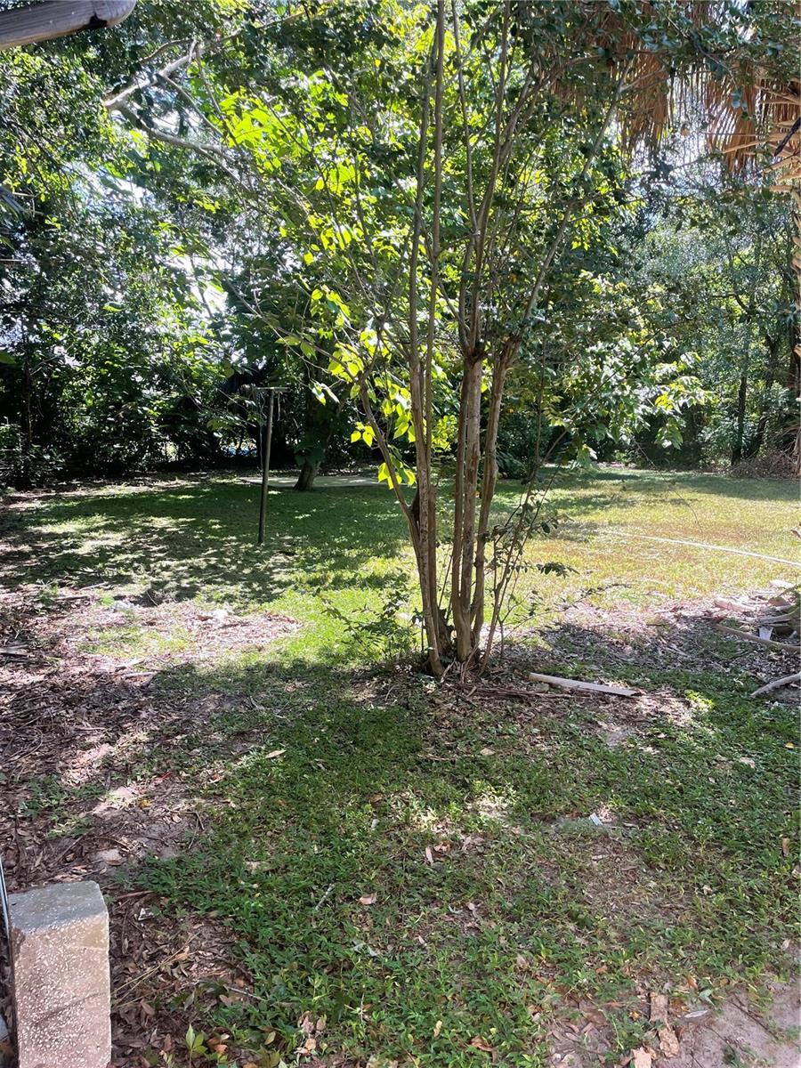 CITRUS HEIGHTS - Residential Income