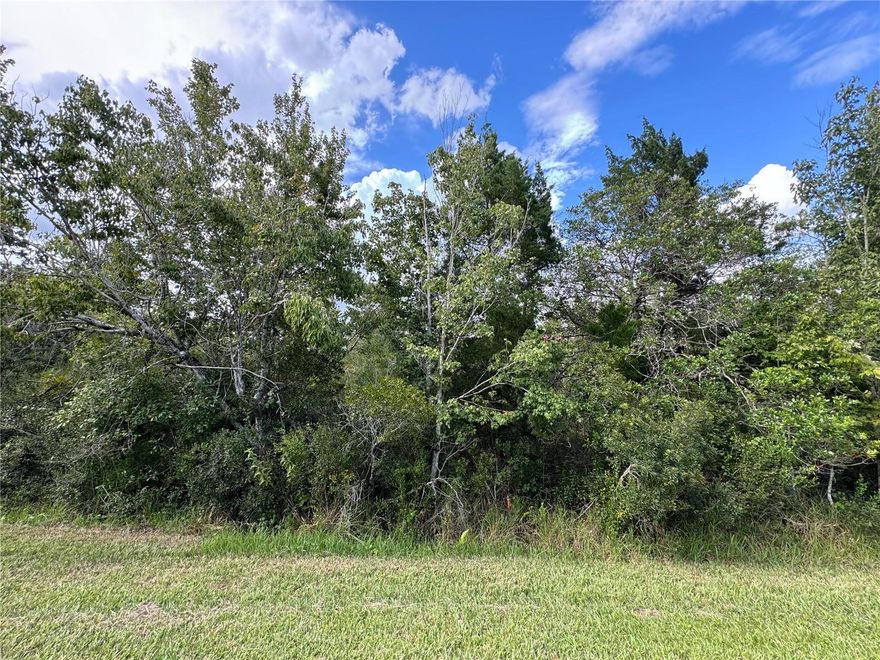 Tucked away in one of Orlando’s fastest-growing corridors, this 1.52-acre homesite on Sheldon St is the kind of opportunity that rarely stays available for long. Surrounded by growth, connectivity, and endless potential, this oversized parcel gives you the freedom to build something truly custom in a city where land is becoming harder and harder to find.

Positioned with convenient access to major highways, including I-4, SR 408, Florida’s Turnpike, and SR 417, commuting across Central Florida is seamless. You’re minutes from Downtown Orlando, Universal Orlando Resort, International Drive, Orlando International Airport, and the rapidly expanding Epic Universe development corridor.  

Whether you envision a private estate surrounded by space and nature, a long-term investment hold, or future development potential, this property offers flexibility in a location where demand continues to rise.

Orlando continues to attract new residents, businesses, and investors from around the world, and opportunities to secure over 1.5 acres inside a major growth market are becoming increasingly limited.

Build now, hold for the future, or create something unique. The land is ready. The vision is yours.