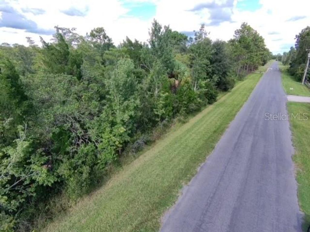 Photo of Sheldon Street, Orlando, FL 32833 (MLS # O6405590)