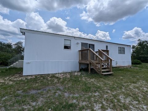 Photo of 64 Hog Road, Avon Park, FL 33825 (MLS # TB8398688)