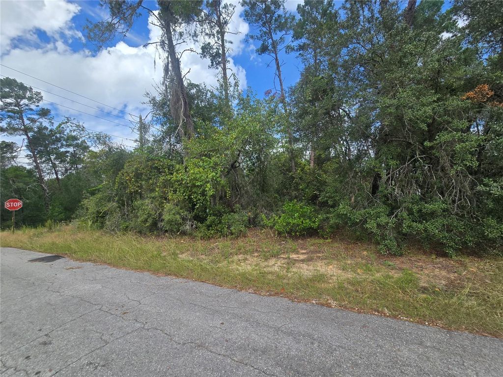 Photo of 3008 Clearwood Street, Inverness, FL 34452 (MLS # OM711244)