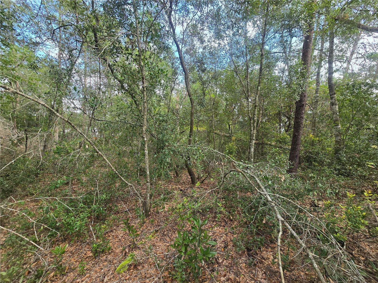 INVERNESS VILLAGE UNIT 03 - Land