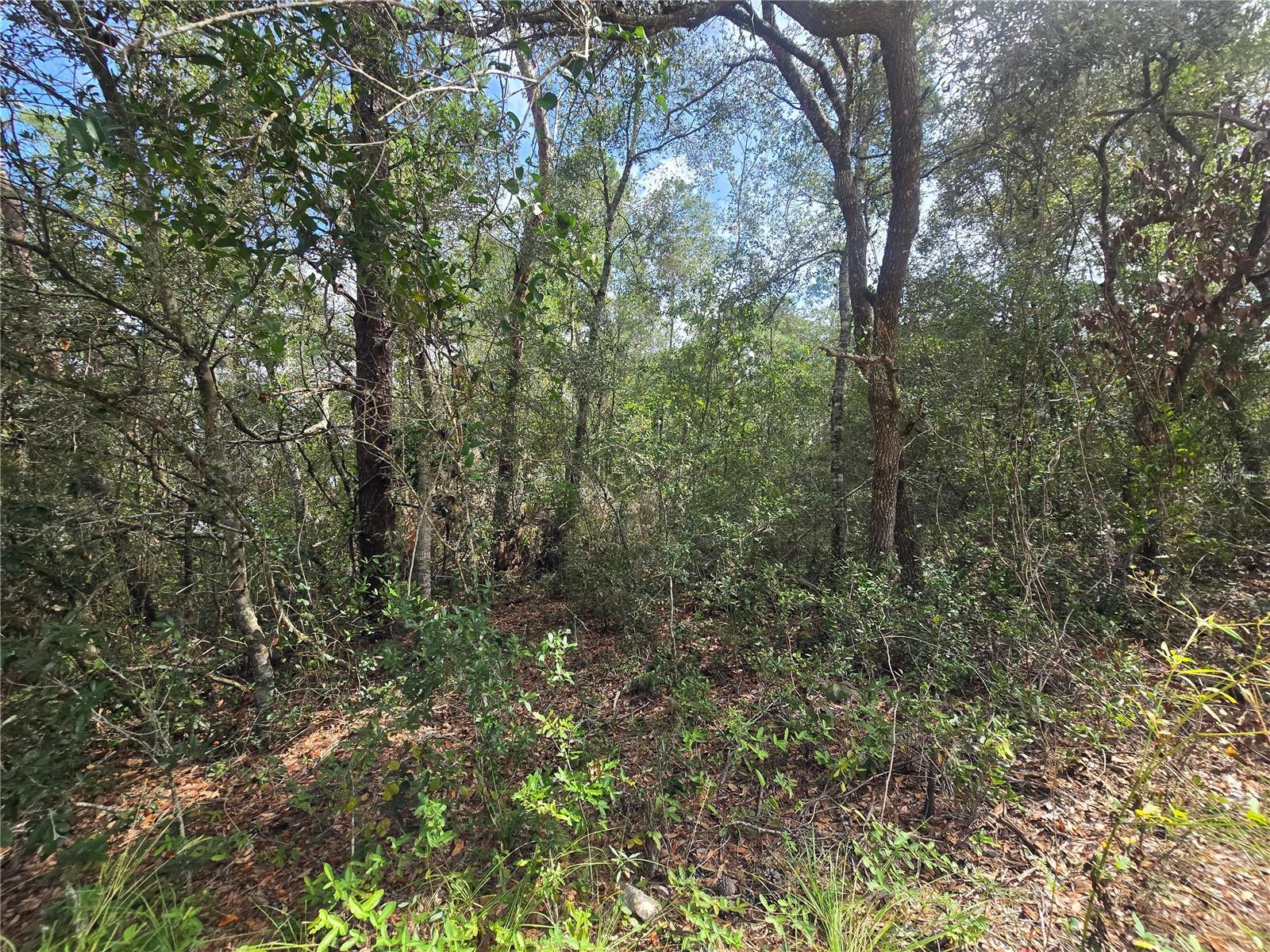 INVERNESS VILLAGE UNIT 03 - Land