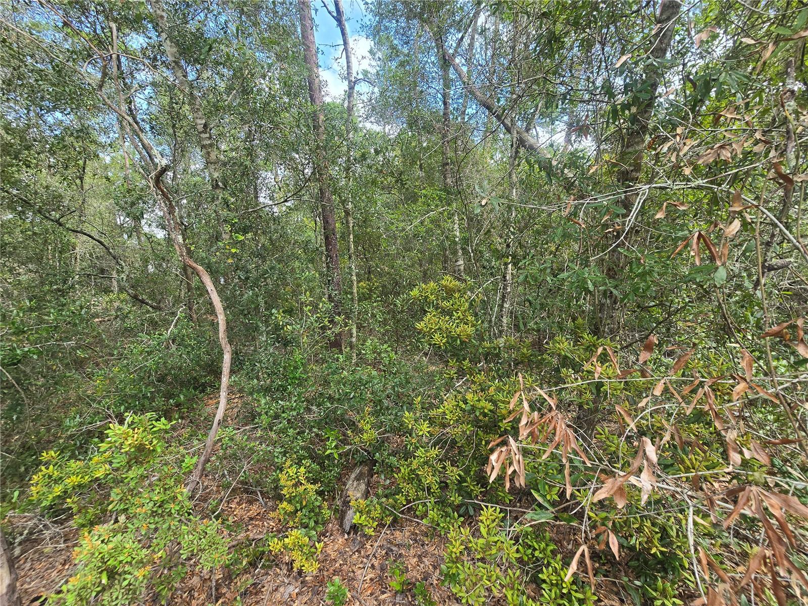 INVERNESS VILLAGE UNIT 03 - Land