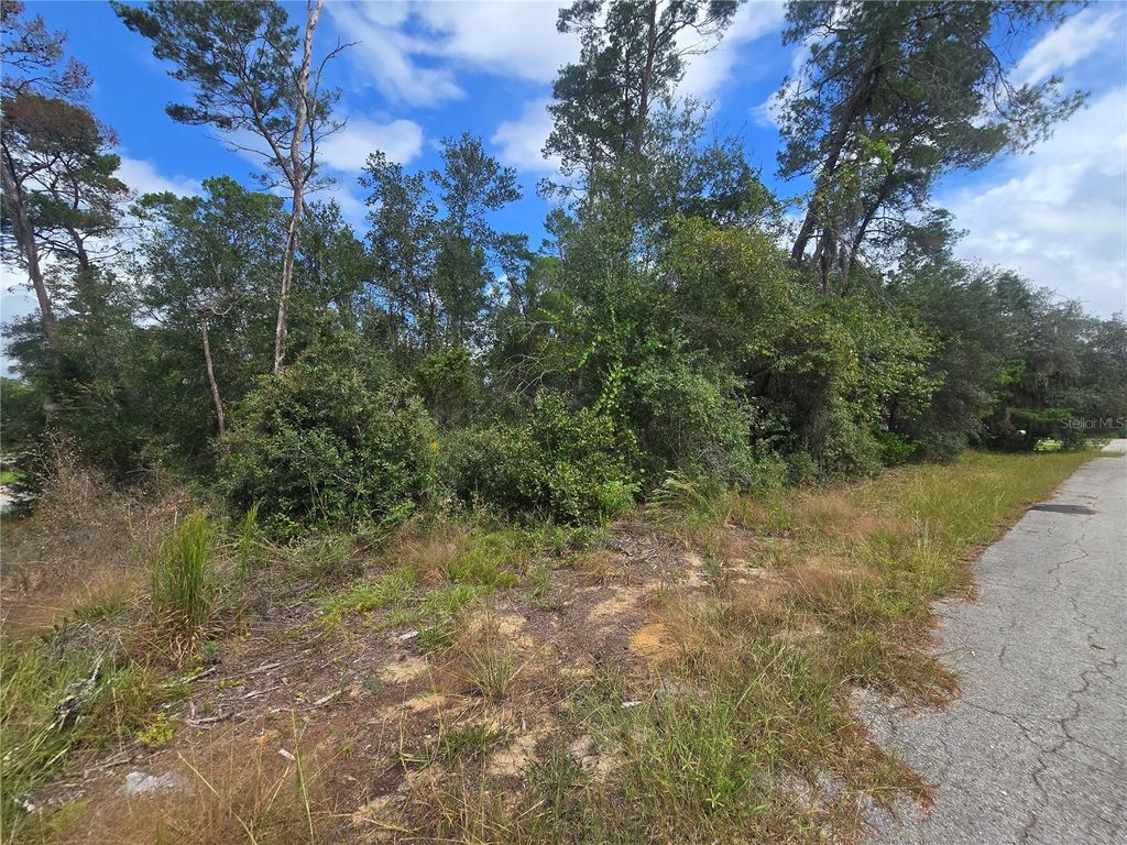 Photo of 3008 Clearwood Street, Inverness, FL 34452 (MLS # OM711244)