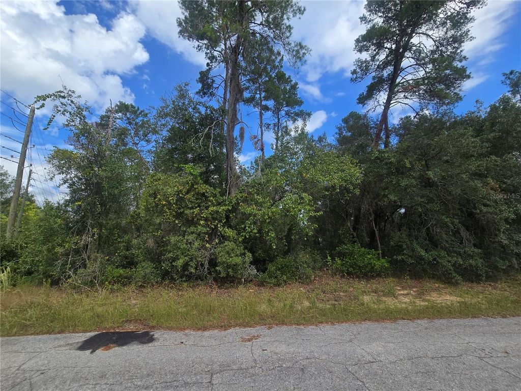 Photo of 3008 Clearwood Street, Inverness, FL 34452 (MLS # OM711244)