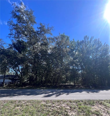 FISHER WAY TRAIL, OCKLAWAHA, FL 32179 - Image 7b24e3386ba5a031cf46fe599393d04f/1407615095