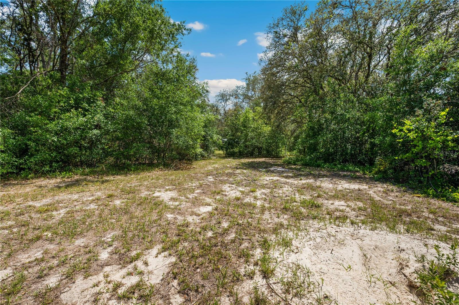 AC WTH FOREST/RIDGE MNR AREA-AC05 - Residential