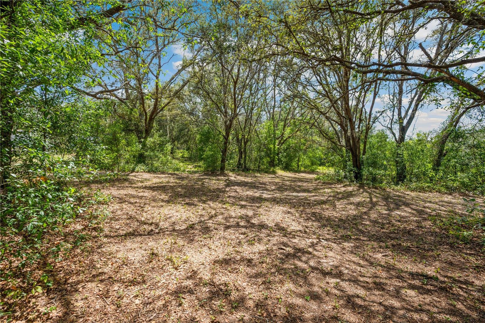 AC WTH FOREST/RIDGE MNR AREA-AC05 - Residential