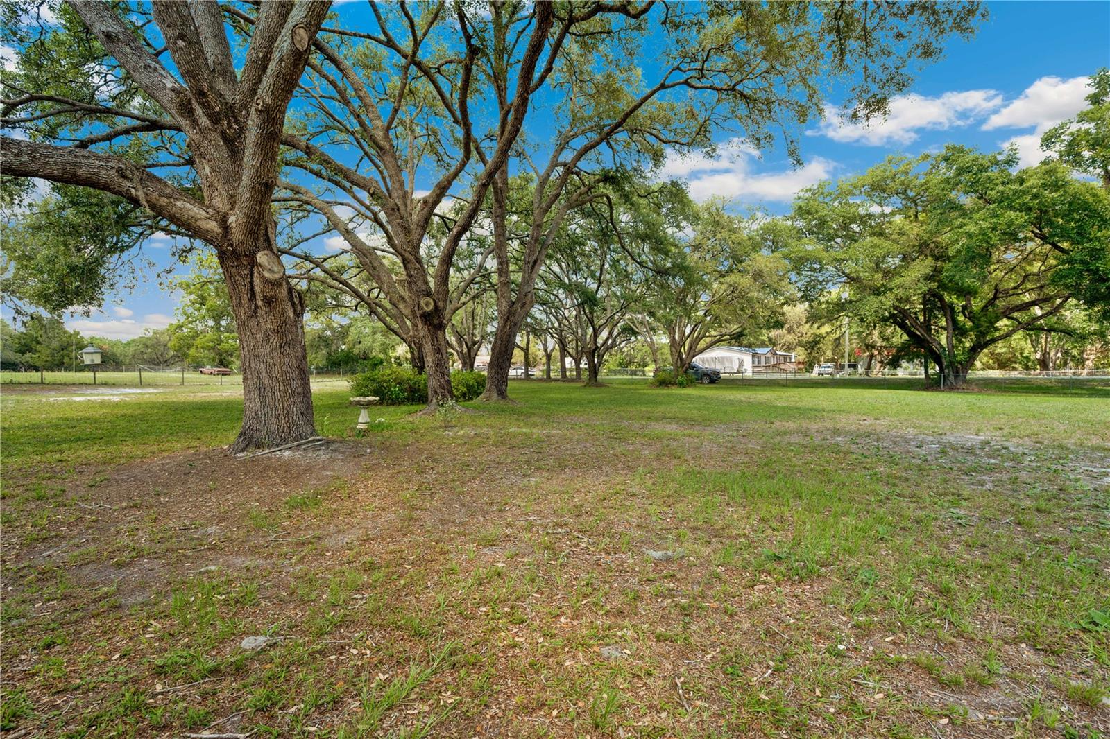 AC WTH FOREST/RIDGE MNR AREA-AC05 - Residential