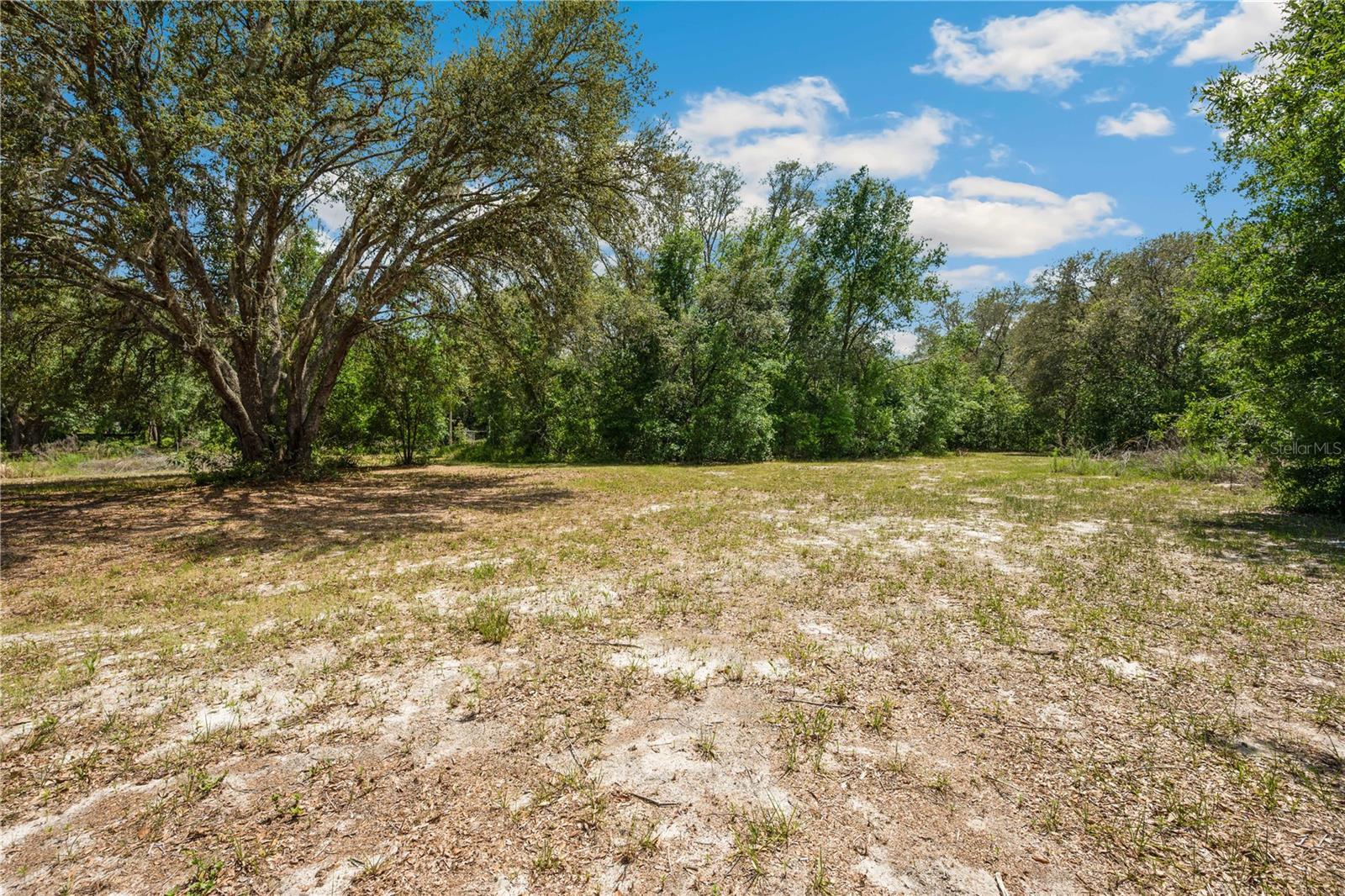 AC WTH FOREST/RIDGE MNR AREA-AC05 - Residential