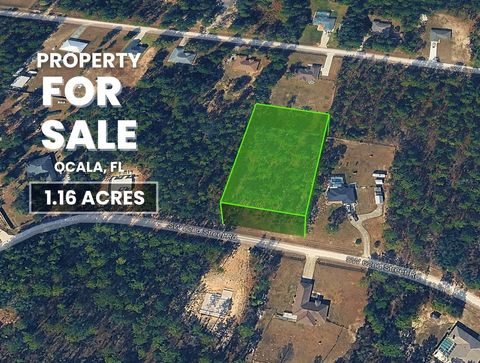 SW 62ND STREET OCALA FL 34481