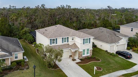 A home in PARRISH