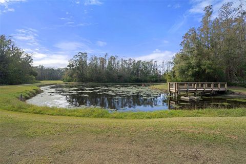 A home in TARPON SPRINGS