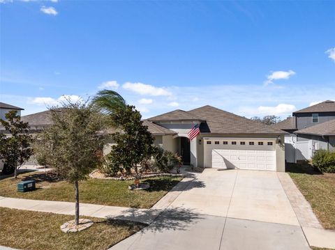 10387 SCARLETT SKIMMER DRIVE RIVERVIEW FL 33578