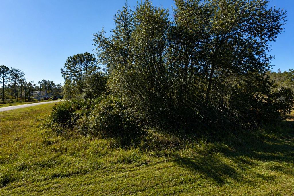 Photo of 302 Bowfin Lane, Kissimmee, FL 34759 (MLS # S5148450)