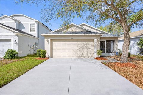 7924 CARRIAGE POINTE DRIVE GIBSONTON FL 33534