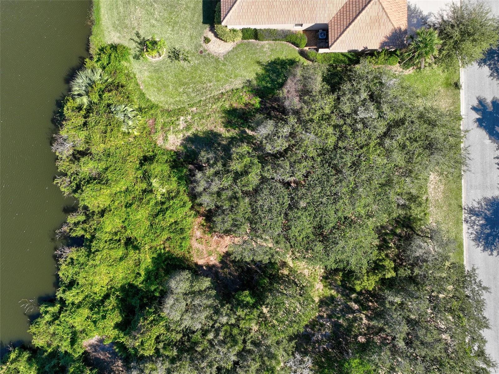 OCEAN HAMMOCK - Land