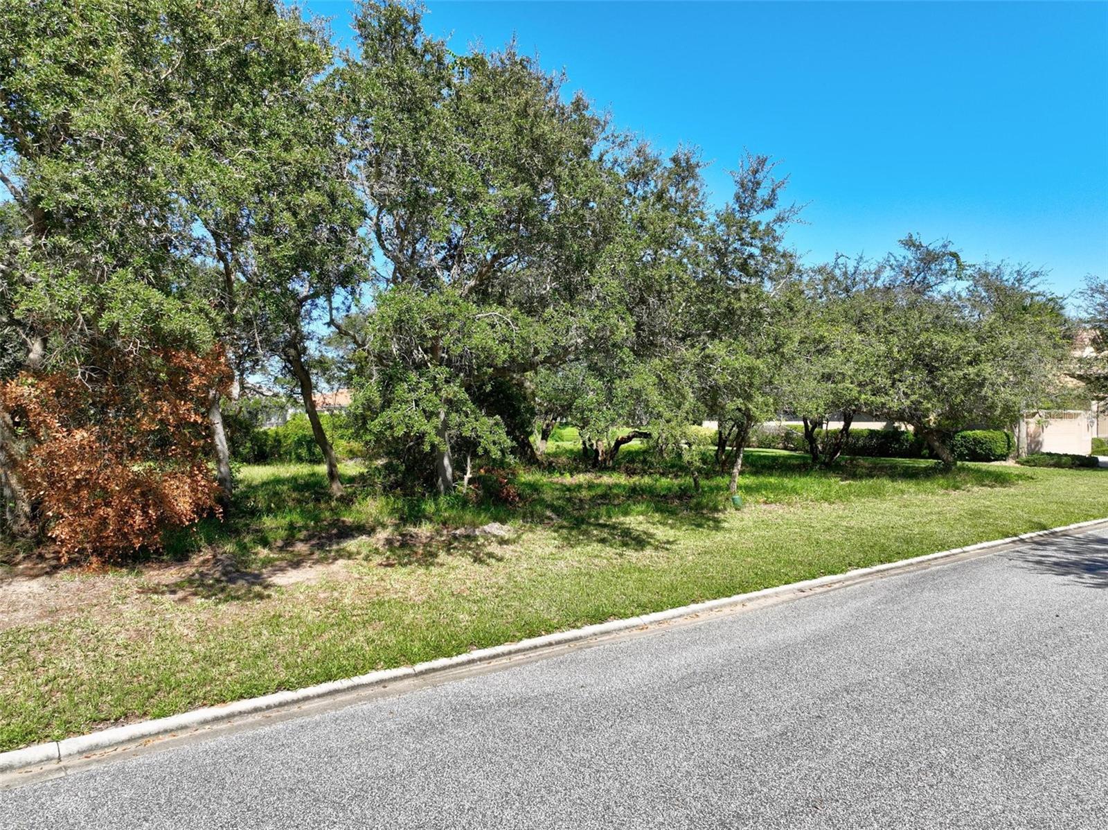 OCEAN HAMMOCK - Land