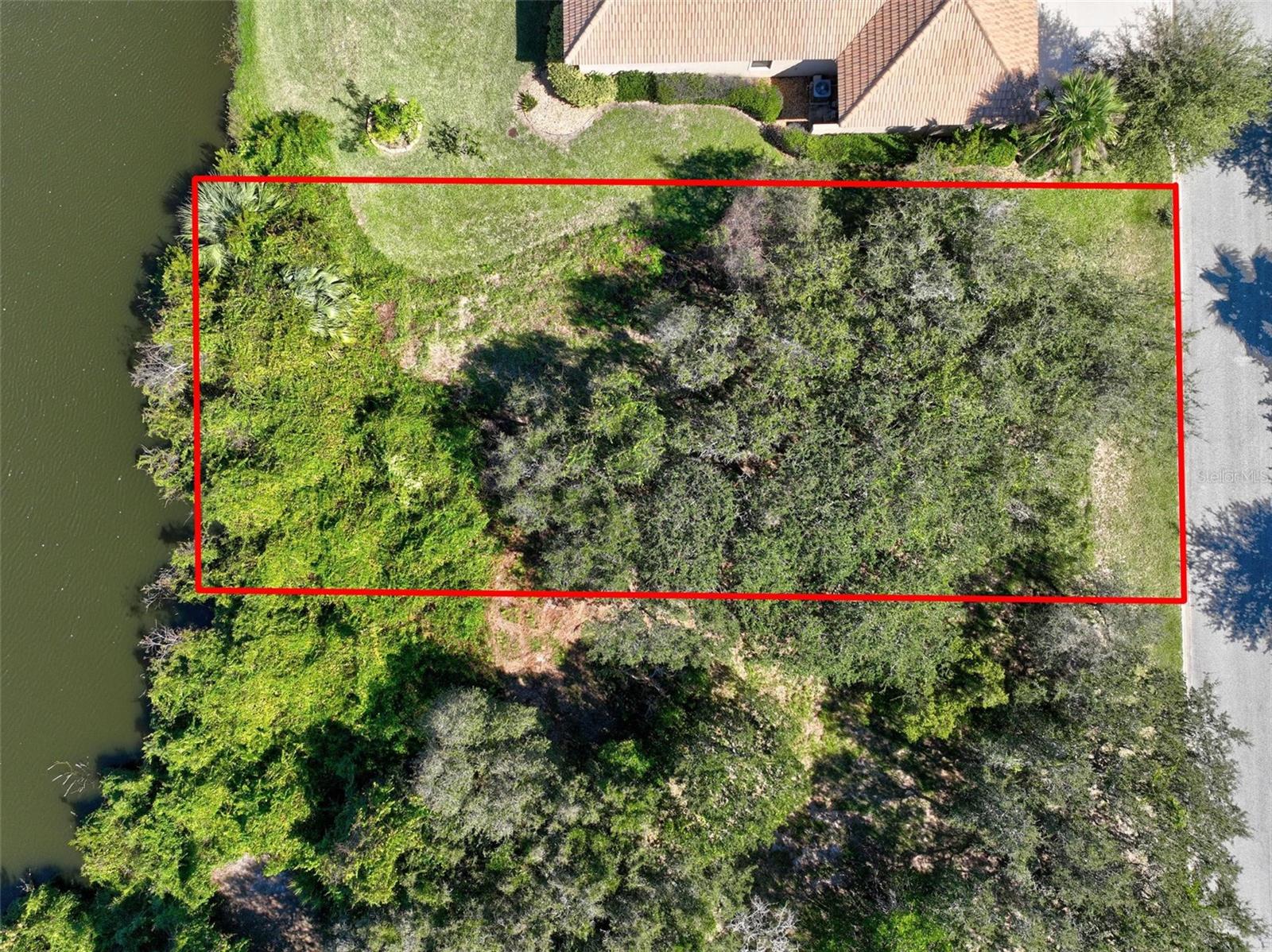 OCEAN HAMMOCK - Land