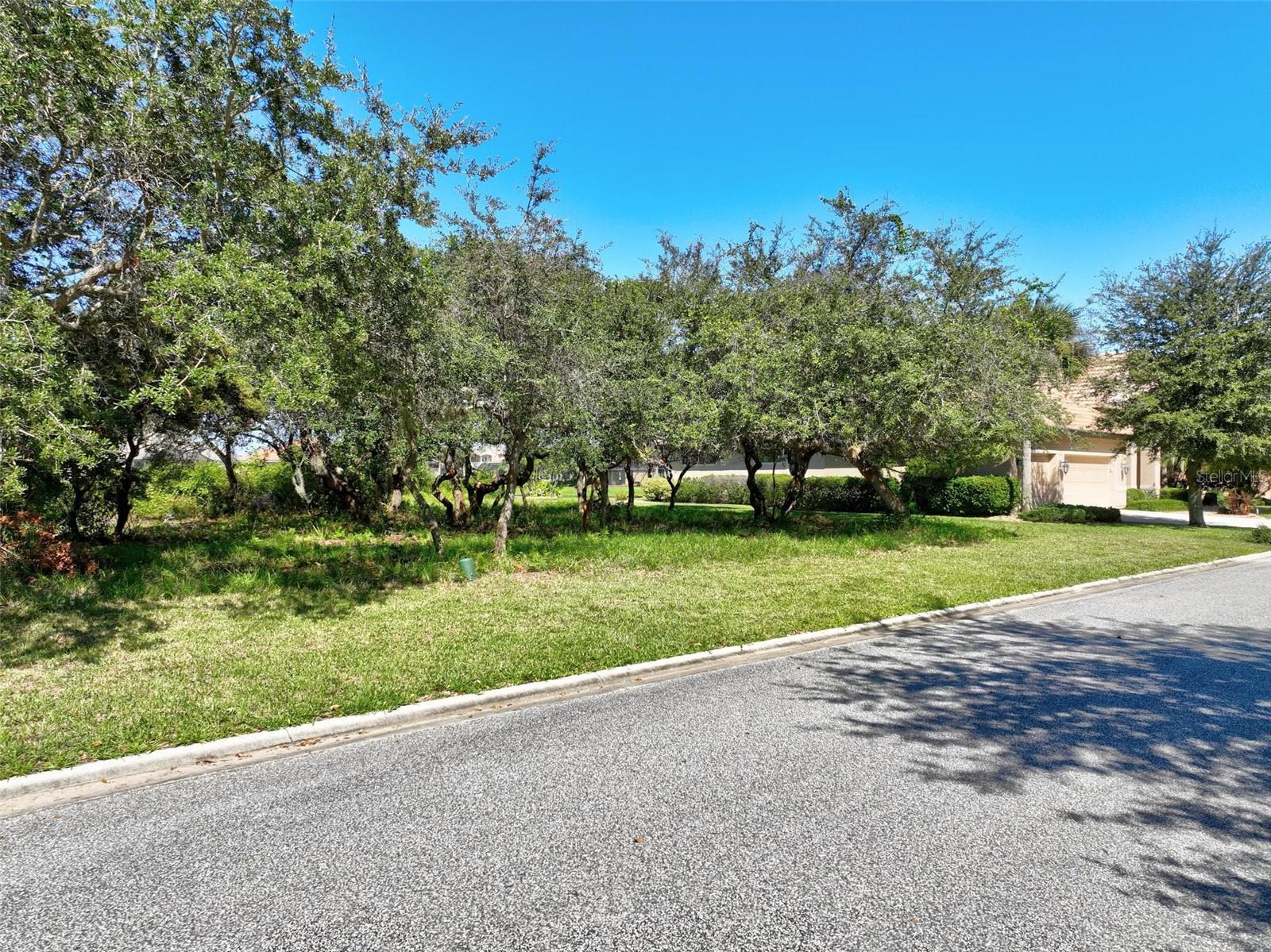 OCEAN HAMMOCK - Land