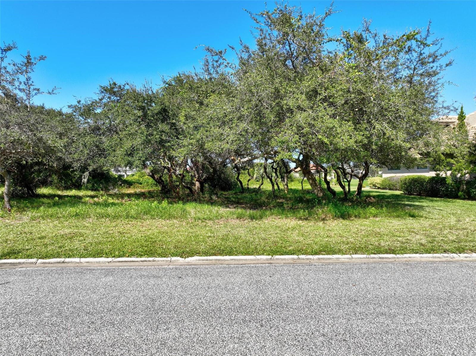 OCEAN HAMMOCK - Land