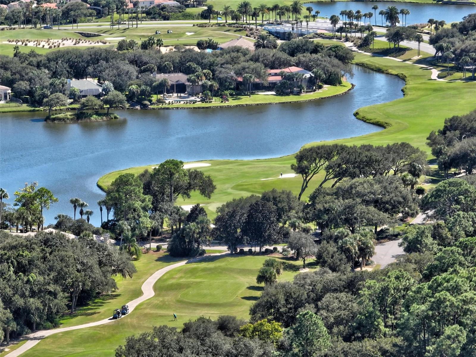 OCEAN HAMMOCK - Land