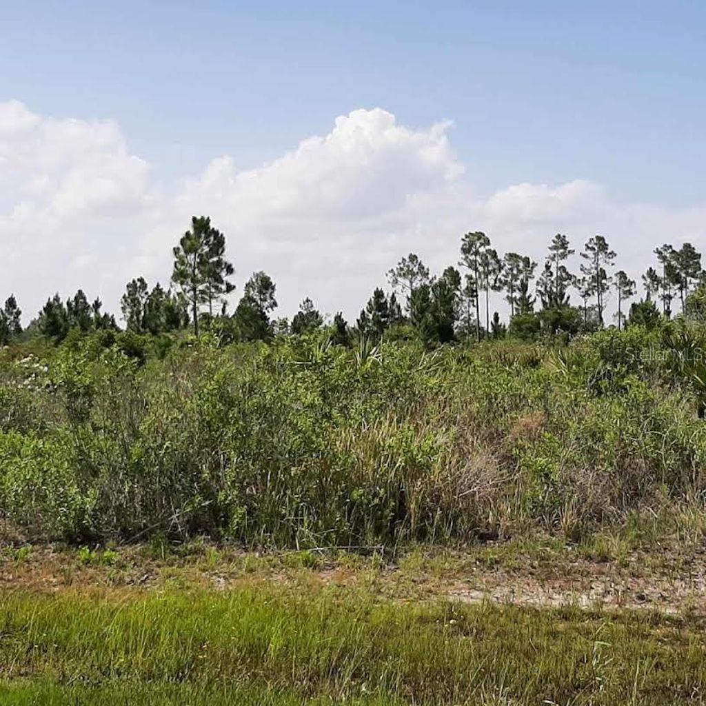 Photo of 414 Calendula Drive, Indian Lake Estates, FL 33855 (MLS # TB8393890)