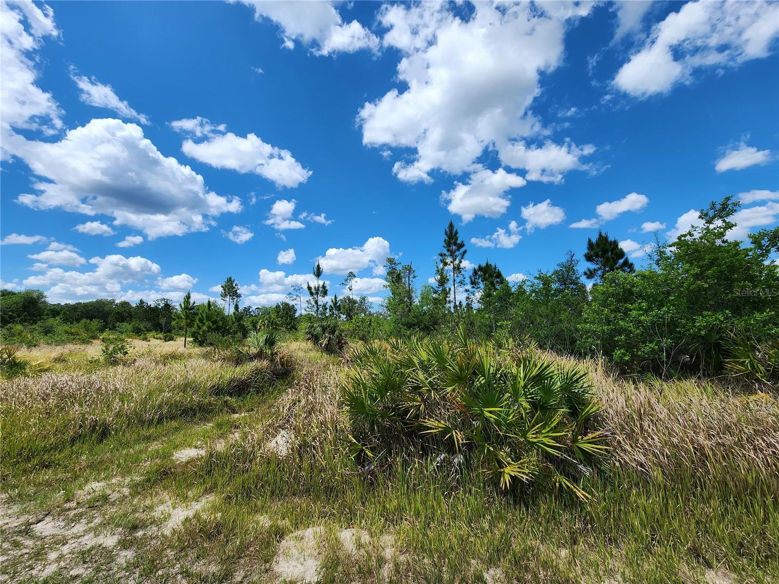 READY TO BUILD YOUR DREAM HOME! This half acre lot is located inside the beautiful Indian Lake Estates Community in Central Florida. This fishing and golf community is about 20 miles east of downtown Lake Wales. This community offers amenities such as golf course, clubhouse, restaurant, library, basketball and tennis courts, and lake access. A perfect area to have space between neighbors and feel close to nature! The lake highlights some of Florida's best fishing and the largest freshwater fishing pier in the State of Florida. Only about an hour drive to Orlando or beaches in Vero! You can even take HWY 60 straight into Tampa! Fantastic opportunity to customize your own home! Reach out today.