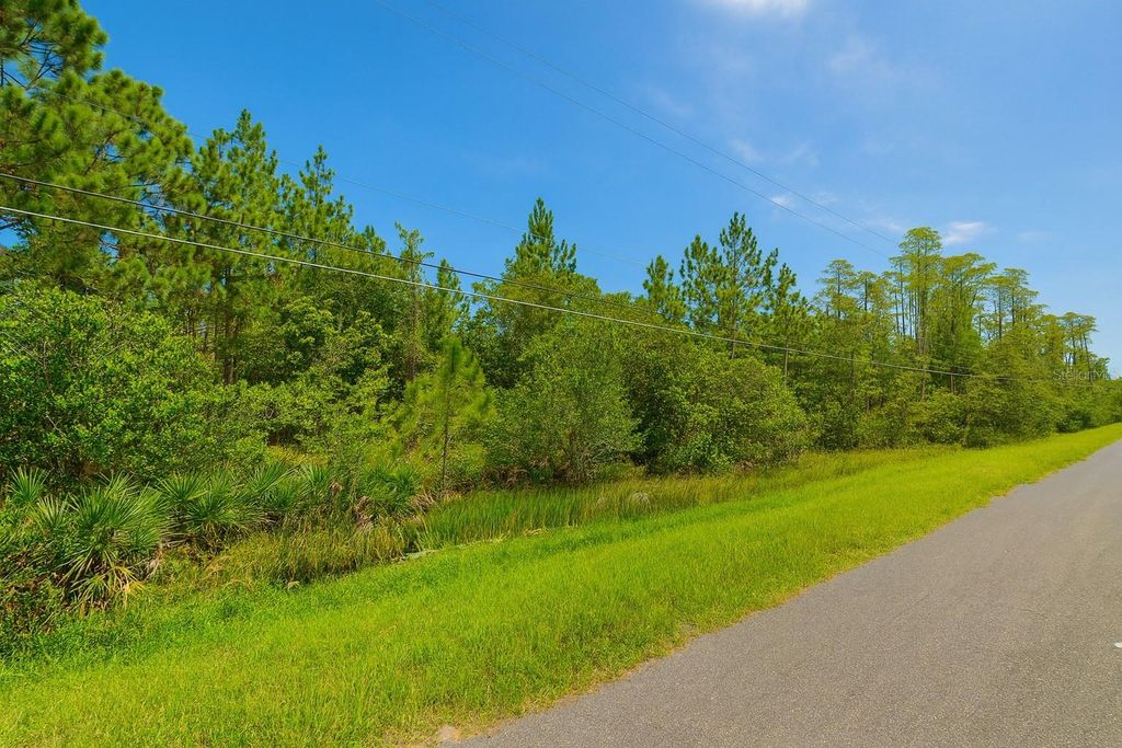 Photo of 000 Robertson Street, Orlando, FL 32833 (MLS # O6364264)