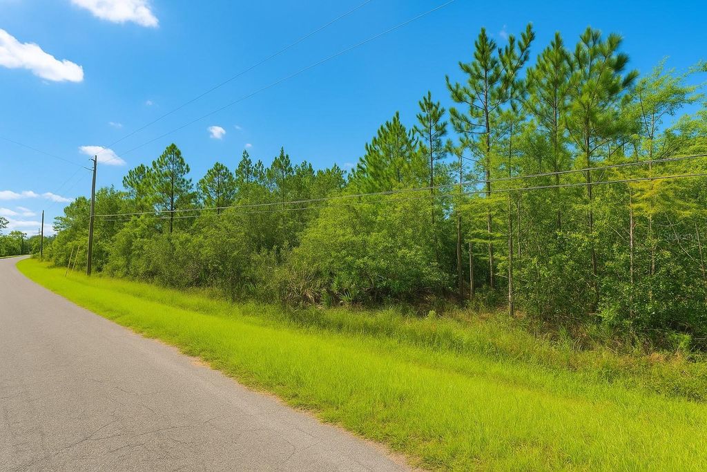 Photo of 000 Robertson Street, Orlando, FL 32833 (MLS # O6364264)