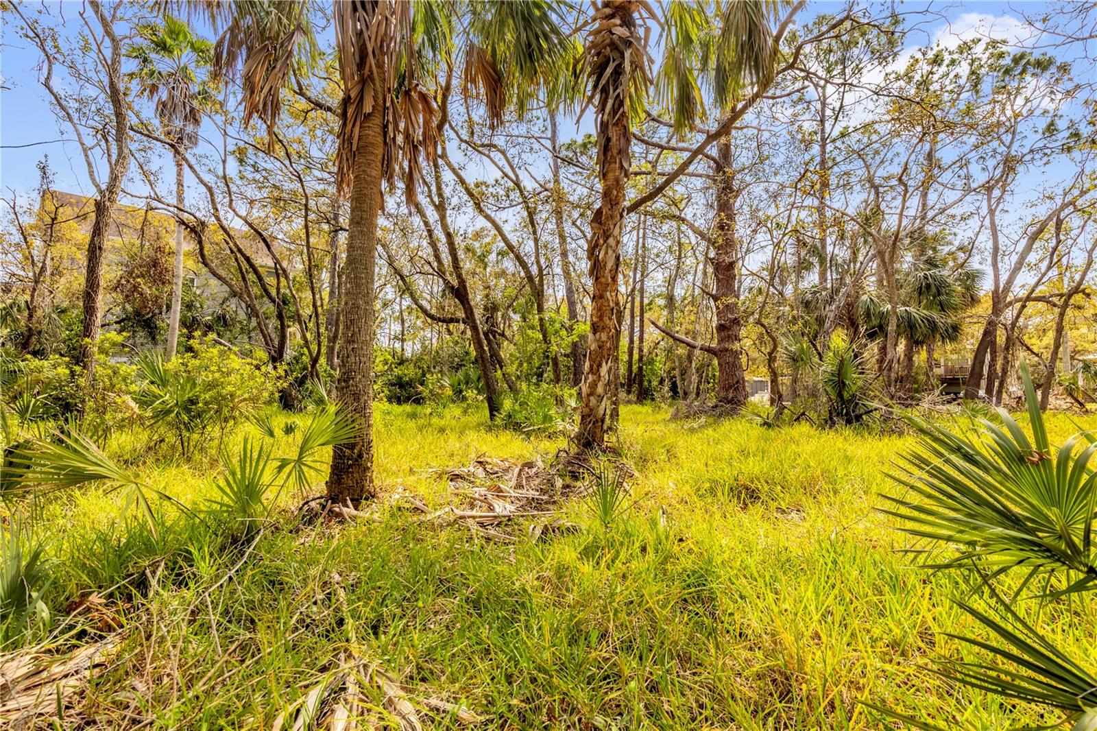 WEST OLDSMAR SEC 1 - Land