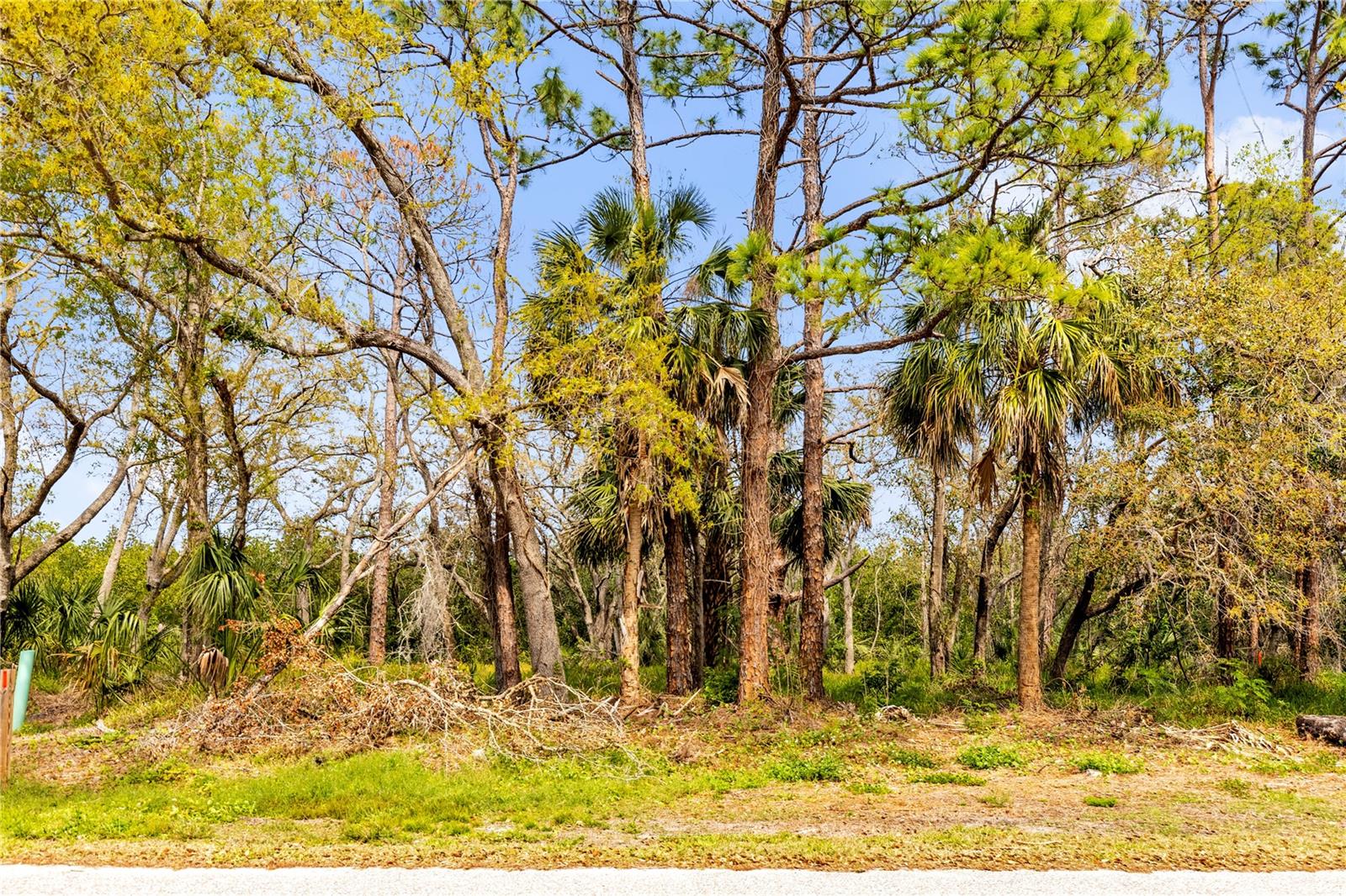 WEST OLDSMAR SEC 1 - Land