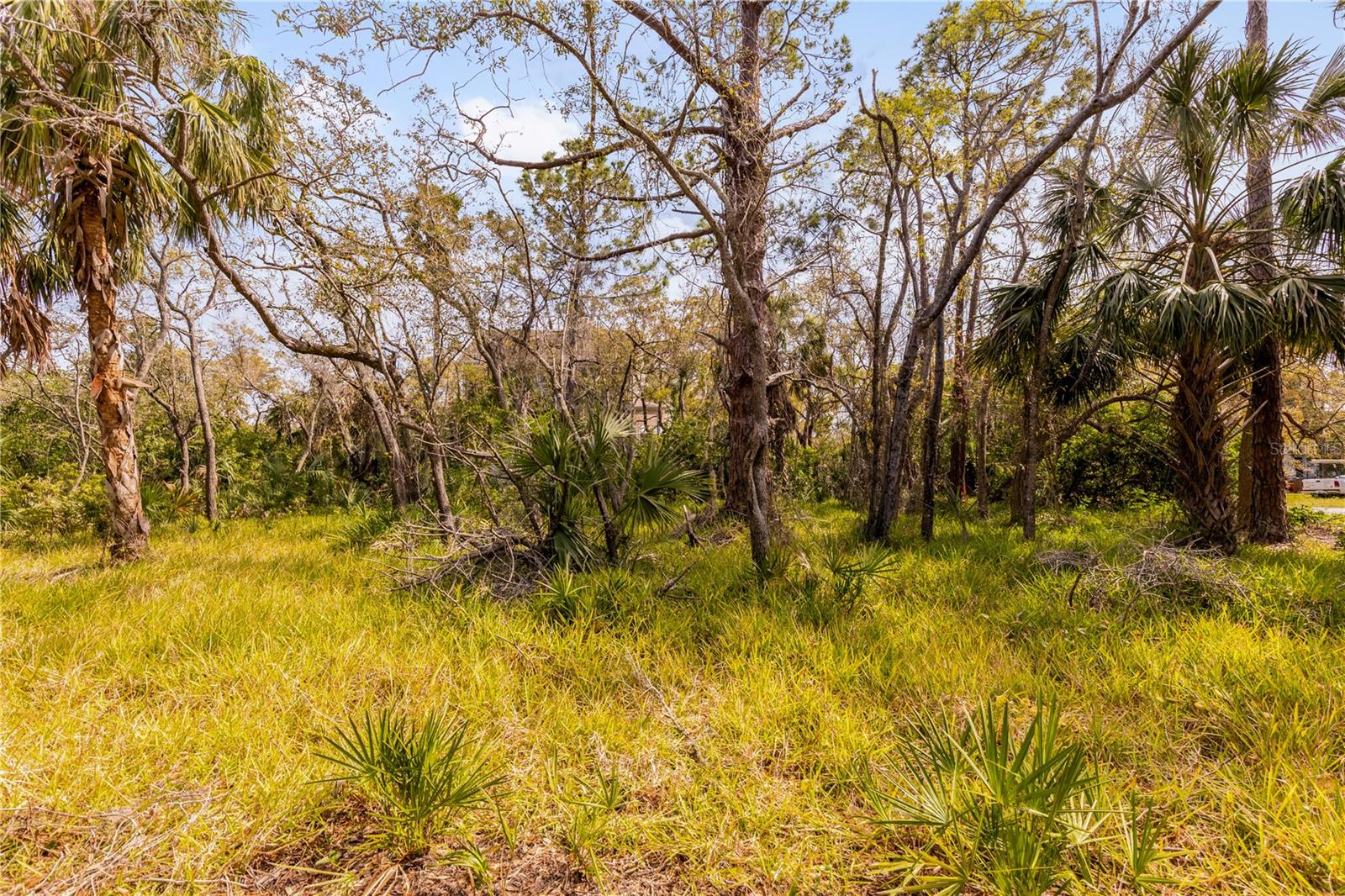 WEST OLDSMAR SEC 1 - Land