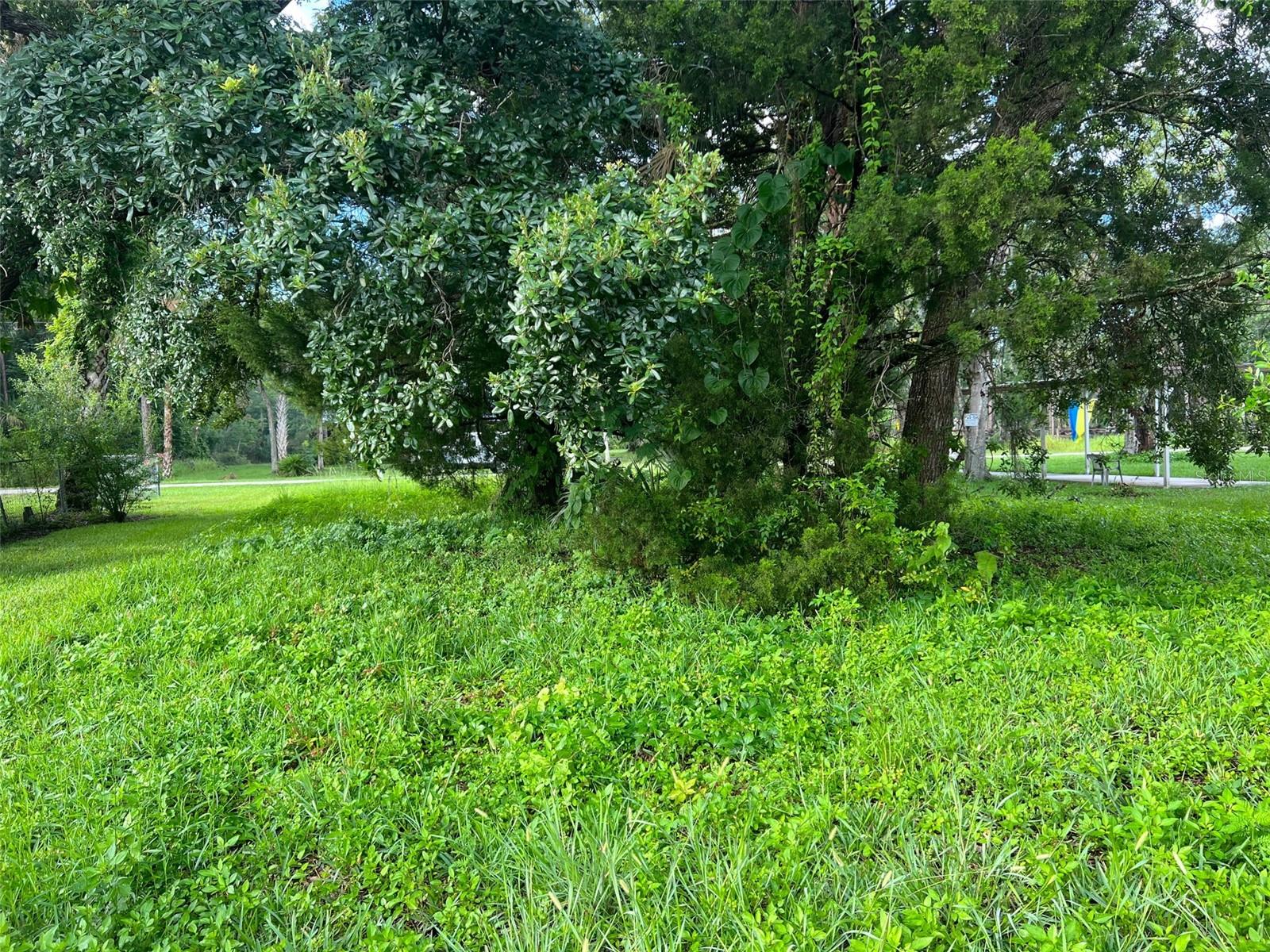 PALM GROVE COLONY - Land