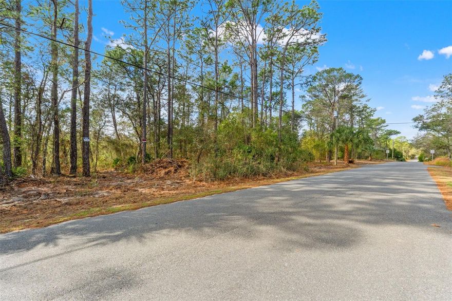 Create your own private retreat on this beautiful 1.81-acre homesite in Weeki Wachee!With plenty of space to spread out, you can design the mini-estate you’ve always dreamed of—whether that includes a custom home, sparkling pool, detached garage, workshop, lush garden, or even a peaceful pond. The possibilities are wide open.Enjoy the quiet feel of country living while still being just minutes from shopping, dining, schools, and major roadways. Michigan Avenue is paved, and best of all—there’s no HOA and no CDD, giving you the freedom and flexibility to build your way.If you’ve been looking for space, privacy, and opportunity, this is it.