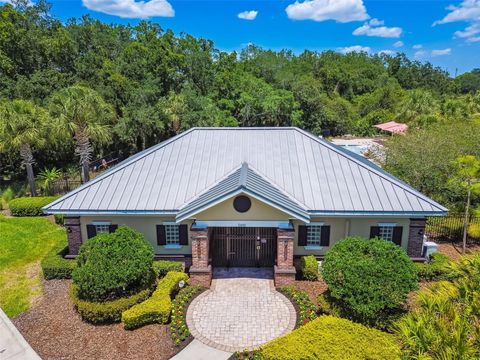 A home in RIVERVIEW