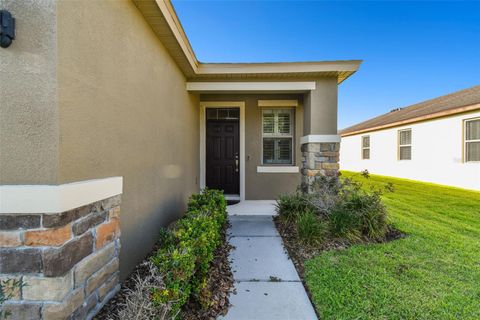 A home in RIVERVIEW