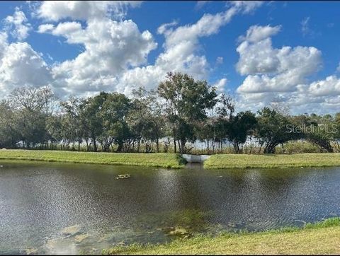 A home in LAND O LAKES