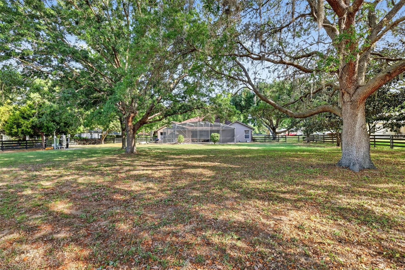 LAURELS MOUNT DORA 45/98 - Residential
