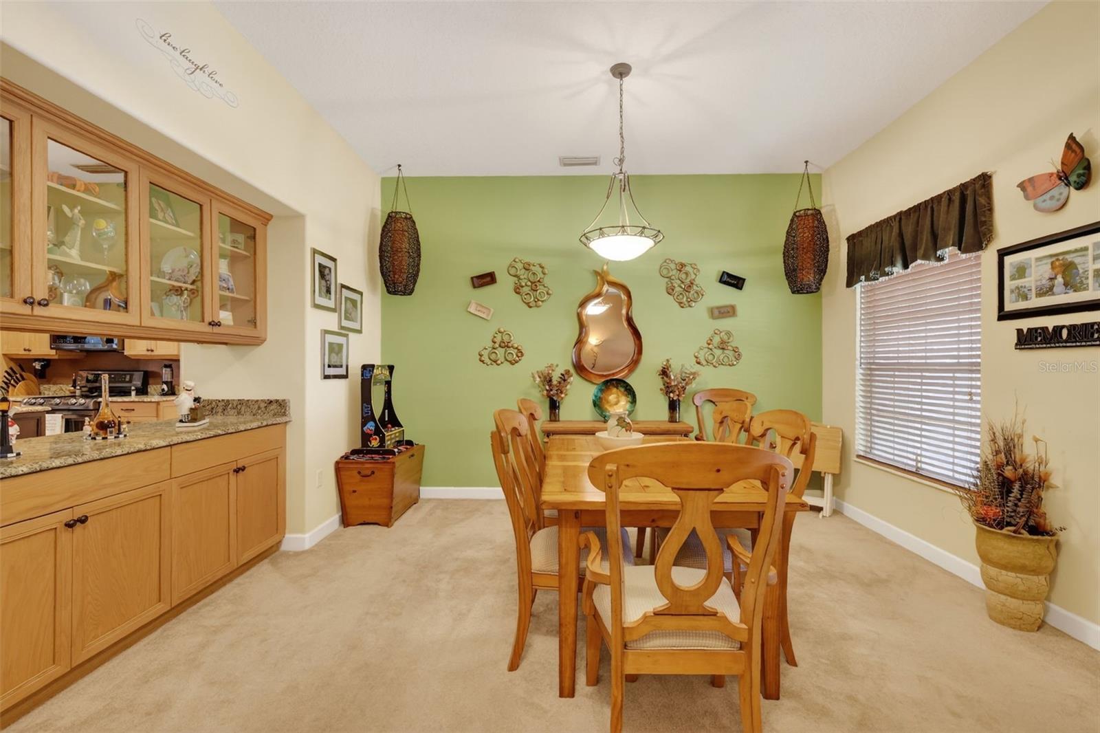 LAURELS MOUNT DORA 45/98 - Residential