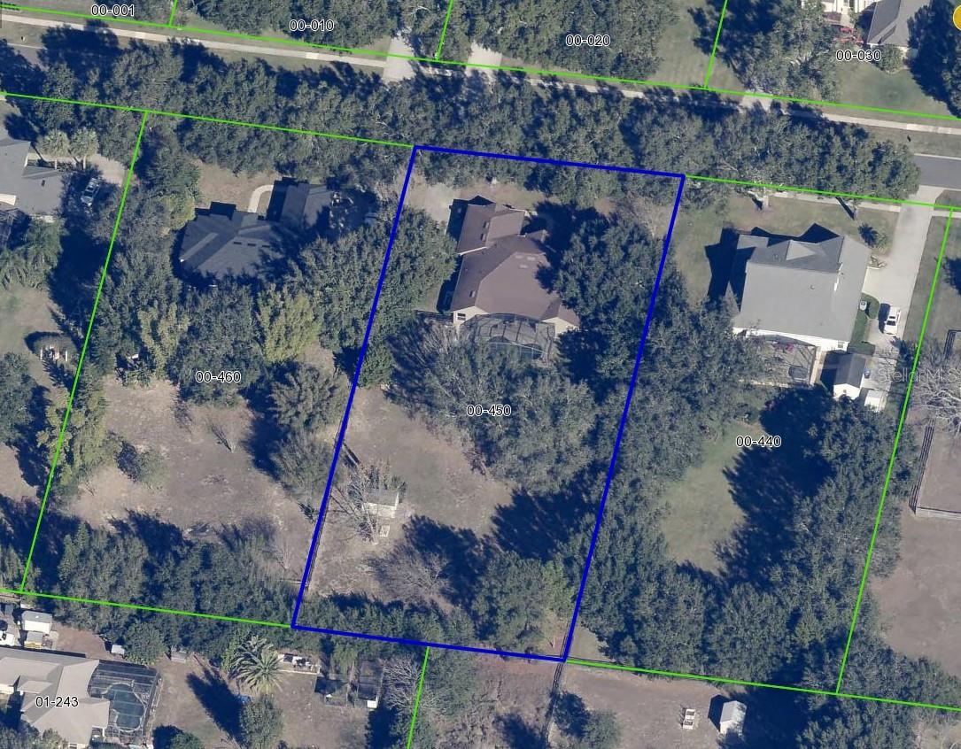 LAURELS MOUNT DORA 45/98 - Residential