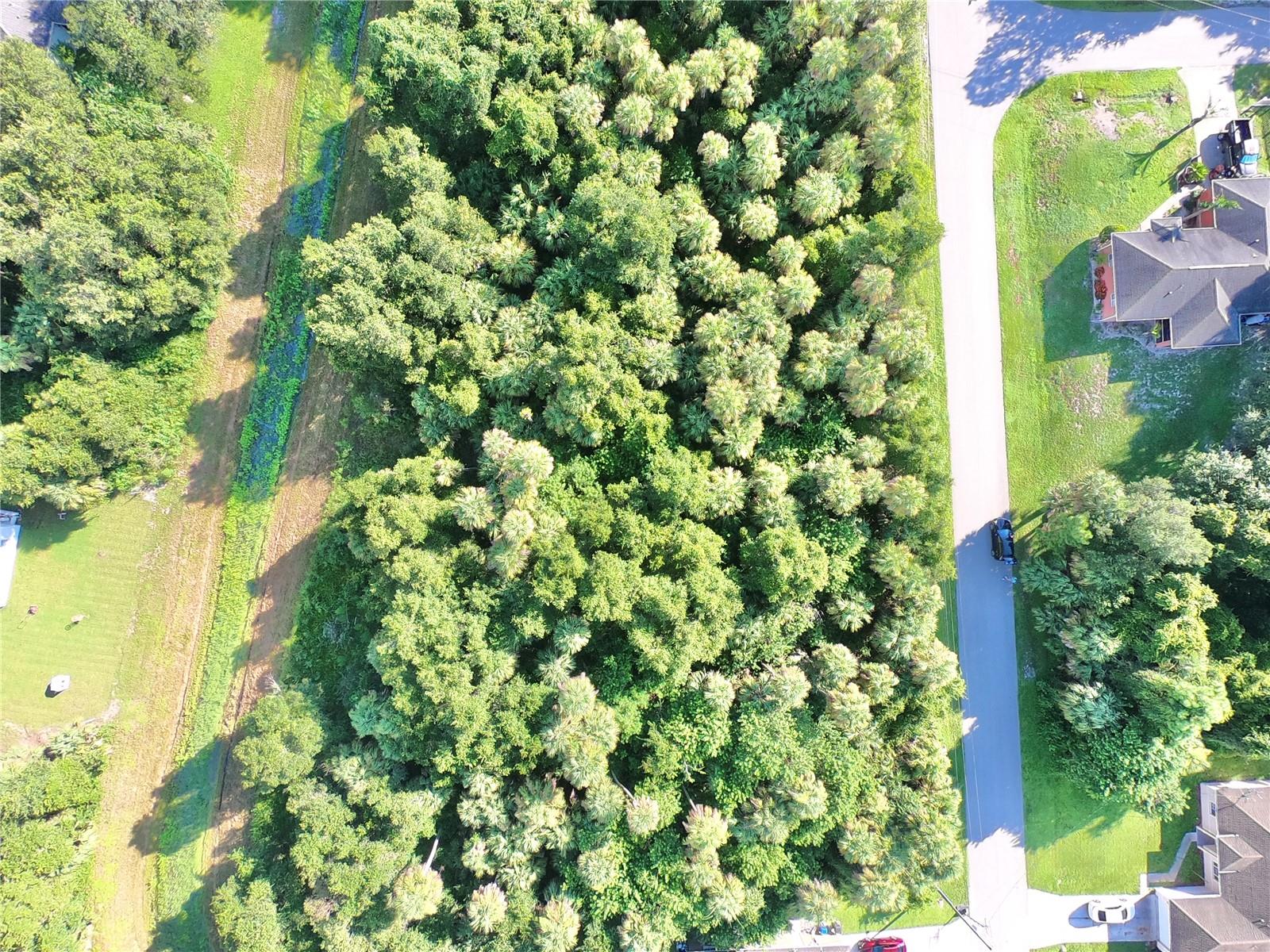 PORT CHARLOTTE SUB 22 - Land