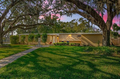 A home in TEMPLE TERRACE