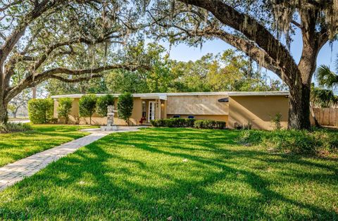 A home in TEMPLE TERRACE