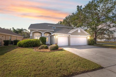 A home in TARPON SPRINGS