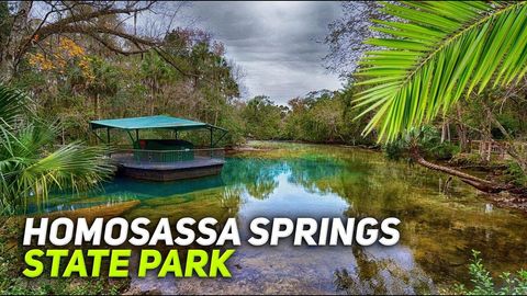A home in HOMOSASSA